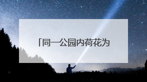 同一公园内荷花为何不同时盛开 业内人士：受多因素影响 属正常现象