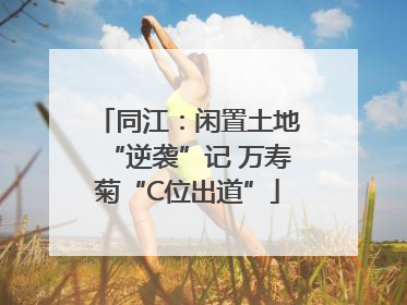 同江：闲置土地“逆袭”记 万寿菊“C位出道”