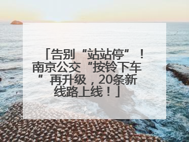 告别“站站停”！南京公交“按铃下车”再升级，20条新线路上线！