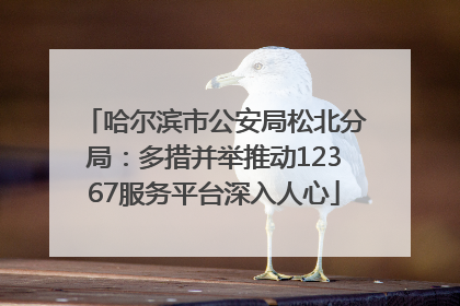 哈尔滨市公安局松北分局：多措并举推动12367服务平台深入人心