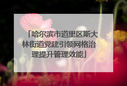 哈尔滨市道里区斯大林街道党建引领网格治理提升管理效能