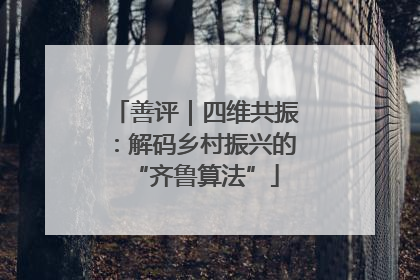 善评｜四维共振：解码乡村振兴的“齐鲁算法”