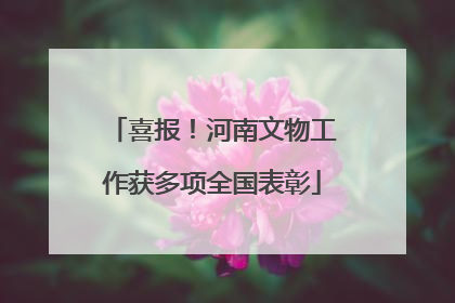 喜报！河南文物工作获多项全国表彰