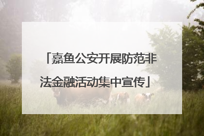 嘉鱼公安开展防范非法金融活动集中宣传