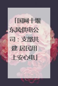 国网十堰东风供电公司：支部共建 居民用上安心电