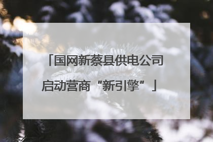 国网新蔡县供电公司启动营商“新引擎”