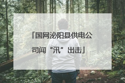 国网泌阳县供电公司闻“汛”出击