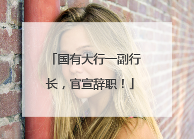 国有大行一副行长，官宣辞职！