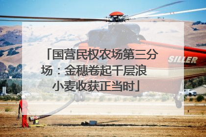 国营民权农场第三分场：金穗卷起千层浪 小麦收获正当时