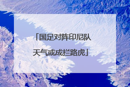 国足对阵印尼队 天气或成拦路虎