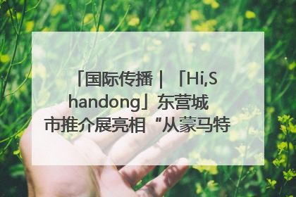 国际传播｜「Hi,Shandong」东营城市推介展亮相“从蒙马特到加里波第”文化节