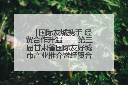 国际友城携手 经贸合作升温——第三届甘肃省国际友好城市产业推介暨经贸合作对接活动特写