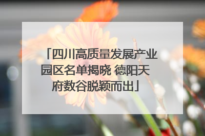 四川高质量发展产业园区名单揭晓 德阳天府数谷脱颖而出