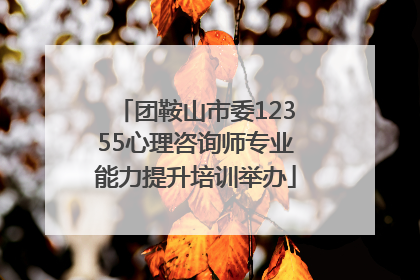 团鞍山市委12355心理咨询师专业能力提升培训举办