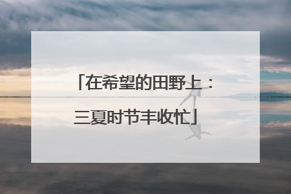 在希望的田野上：三夏时节丰收忙