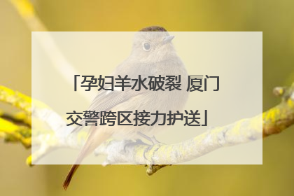 孕妇羊水破裂 厦门交警跨区接力护送