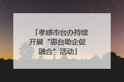 孝感市台办持续开展“惠台助企促融合”活动