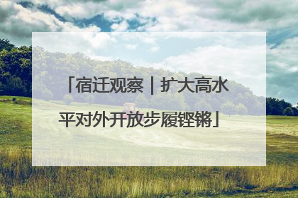 宿迁观察｜扩大高水平对外开放步履铿锵