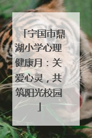 宁国市鼎湖小学心理健康月：关爱心灵，共筑阳光校园