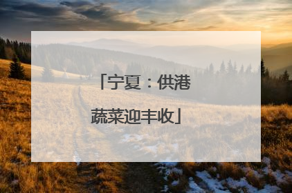 宁夏：供港蔬菜迎丰收