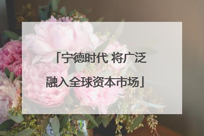 宁德时代 将广泛融入全球资本市场