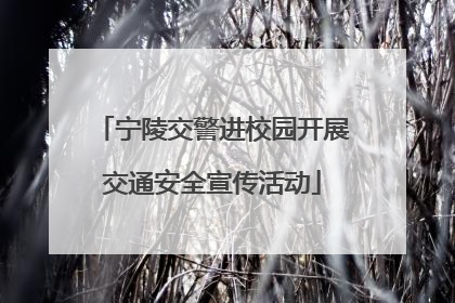 宁陵交警进校园开展交通安全宣传活动