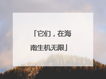 它们，在海南生机无限