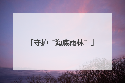 守护“海底雨林”