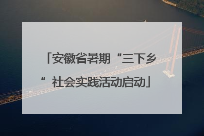 安徽省暑期“三下乡”社会实践活动启动