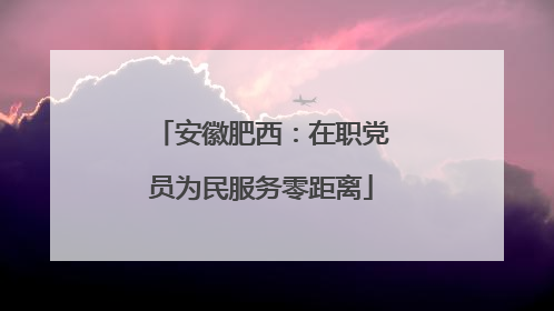 安徽肥西：在职党员为民服务零距离