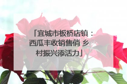 宜城市板桥店镇：西瓜丰收销售俏 乡村振兴添活力