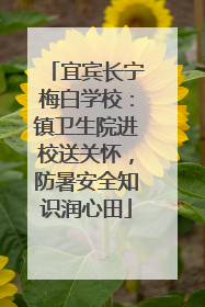 宜宾长宁梅白学校：镇卫生院进校送关怀，防暑安全知识润心田