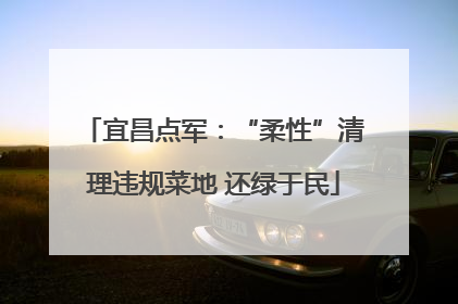 宜昌点军：“柔性”清理违规菜地 还绿于民