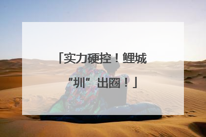 实力硬控！鲤城“圳”出圈！