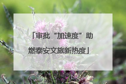 审批“加速度”助燃泰安文旅新热度