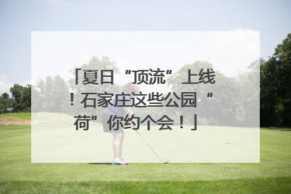 夏日“顶流”上线！石家庄这些公园“荷”你约个会！