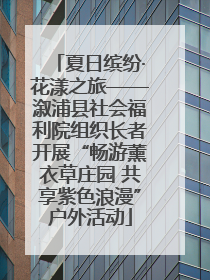 夏日缤纷·花漾之旅——溆浦县社会福利院组织长者开展“畅游薰衣草庄园 共享紫色浪漫”户外活动