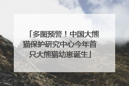 多图预警！中国大熊猫保护研究中心今年首只大熊猫幼崽诞生