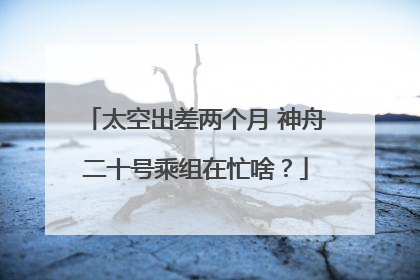太空出差两个月 神舟二十号乘组在忙啥？
