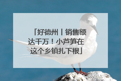 好德州丨销售额达千万！小芦笋在这个乡镇扎下根