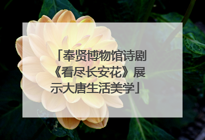 奉贤博物馆诗剧《看尽长安花》展示大唐生活美学
