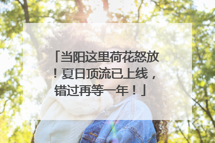 当阳这里荷花怒放！夏日顶流已上线，错过再等一年！