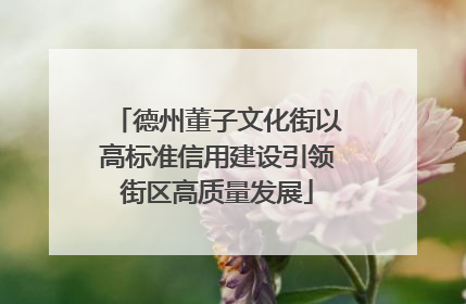 德州董子文化街以高标准信用建设引领街区高质量发展