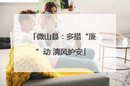 微山县：多措“廉”动 清风护安