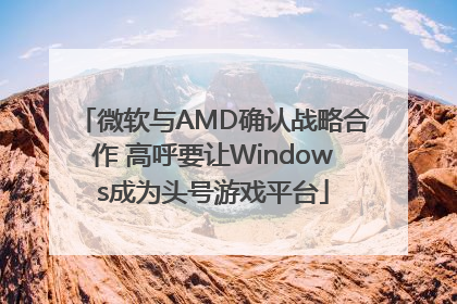 微软与AMD确认战略合作 高呼要让Windows成为头号游戏平台