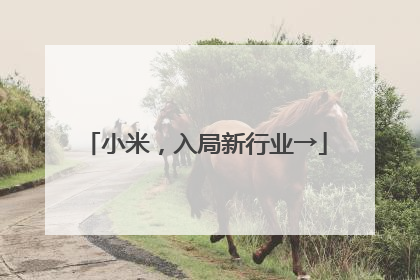 小米，入局新行业→