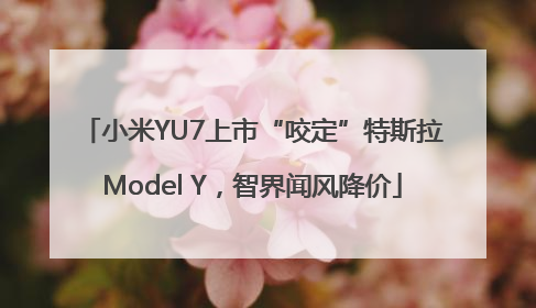 小米YU7上市“咬定”特斯拉Model Y，智界闻风降价