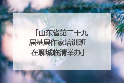 山东省第二十九届基层作家培训班在聊城临清举办