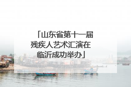山东省第十一届残疾人艺术汇演在临沂成功举办