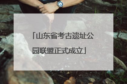 山东省考古遗址公园联盟正式成立